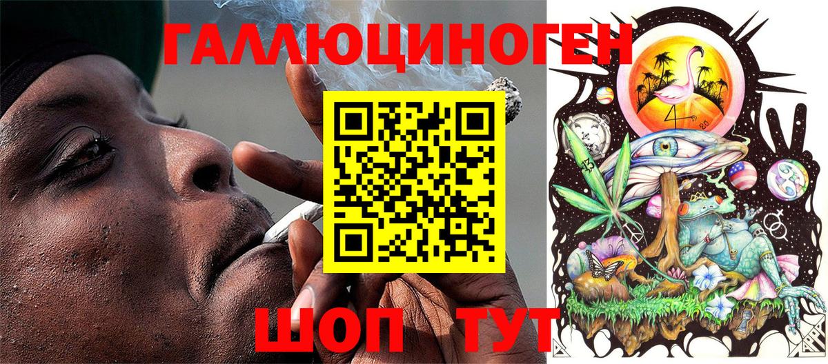 Псилоцибиновые грибы Magic Shrooms Ковров